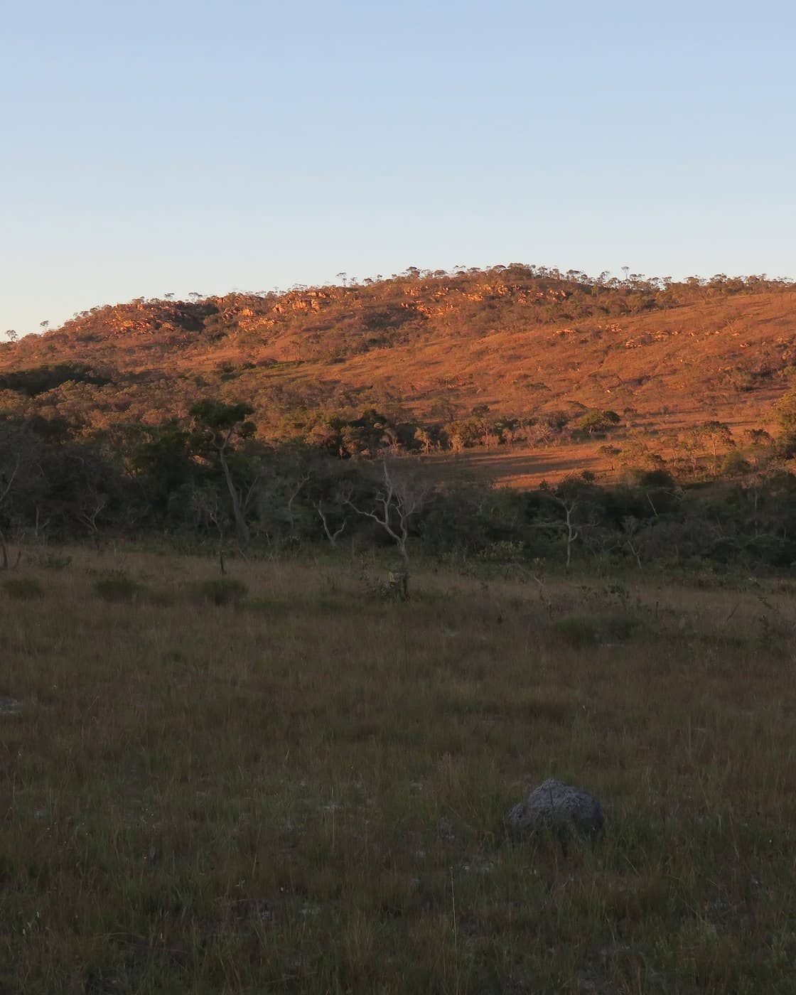Cerrado grassland below a low ridge in evening light, Minas Gerais, Brazil.